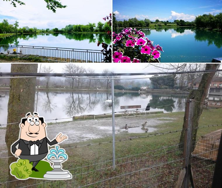 Guarda gli esterni di Verdelago Sport