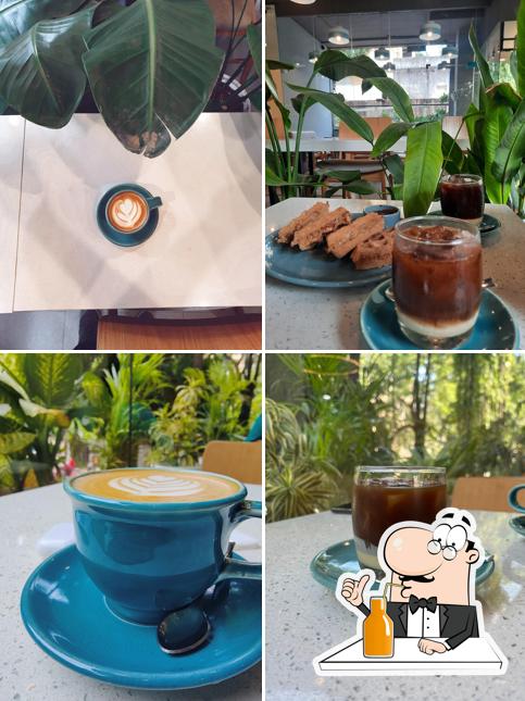 Blue Tokai Coffee Roasters Ghole Road