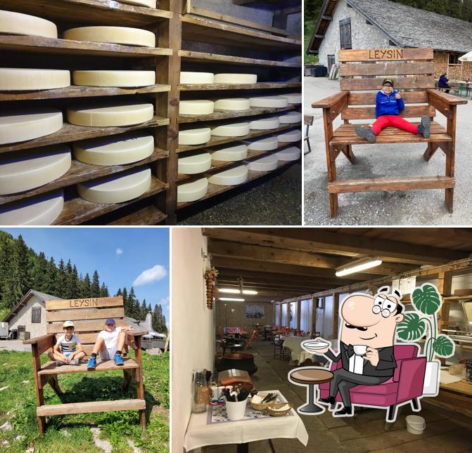 Dai un'occhiata agli interni di Temeley