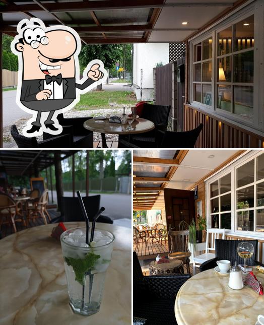 Découvrez l'intérieur de Waves