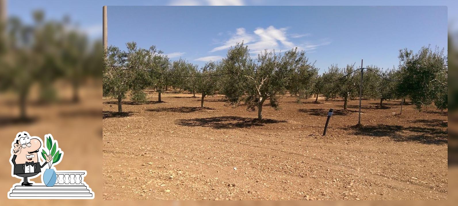 Parco Laurito Ricevimenti