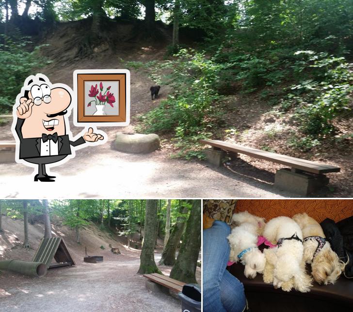 Dai un'occhiata agli interni di Rösslibeck Filiale Amriswil