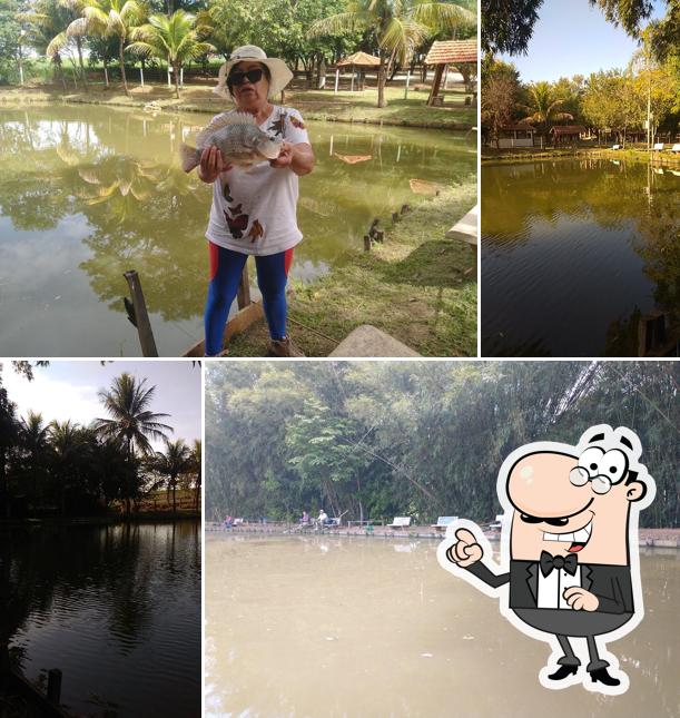 Pesque e Pague Colombo e Barbui