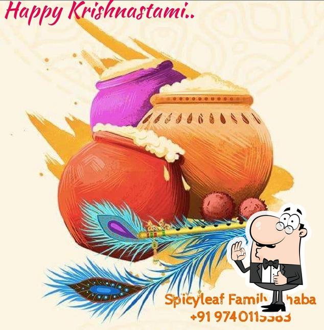 Spicyleaf Family Dhaba photo