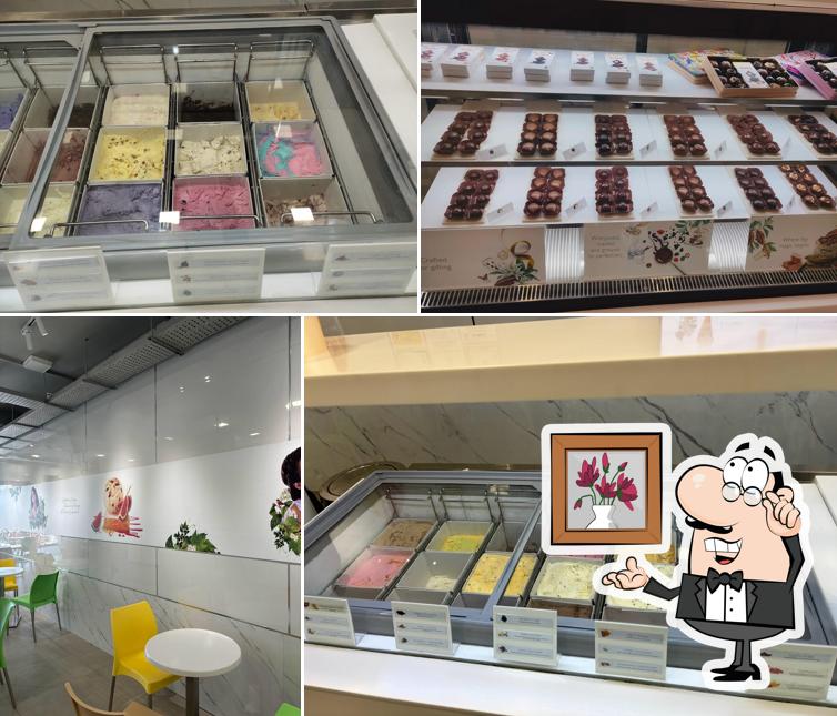 ibaco - Chengalpattu