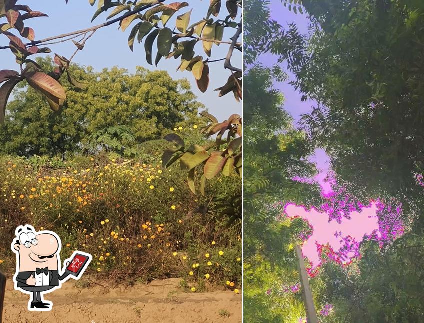 Check out how Rajesh Restaurant and Guest House ( Chai Chillum Chapati) looks outside