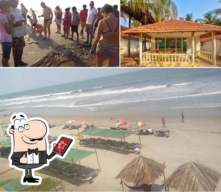 Enjoy the view outside Morjim Holiday Beach Resort