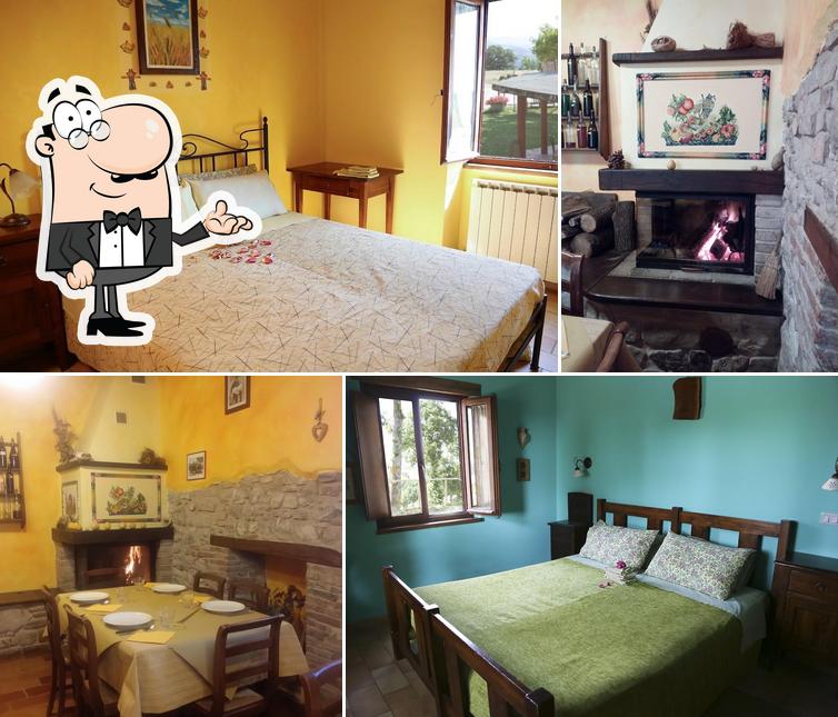 Agriturismo Biologico Pieve del Colle - Fattoria Didattica