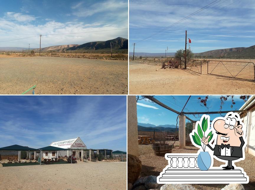 Elnatan Calitzdorp Fruit