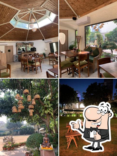 Look at the pic of Zoka