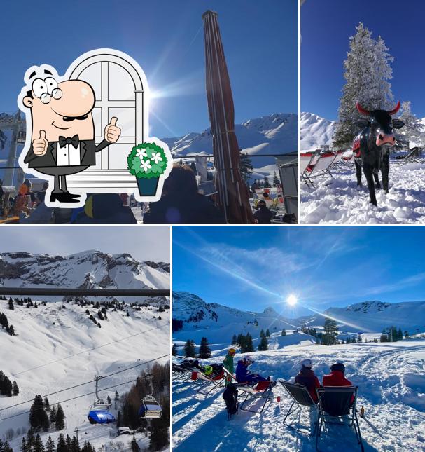 Gli esterni di Wunderbar