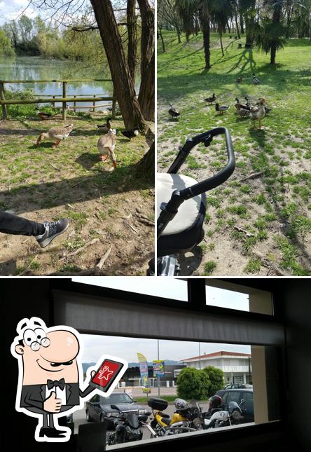 Guarda la foto di Costantin cafè