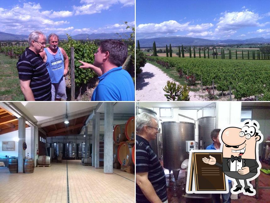 Gli esterni di Umbria Wine Tour