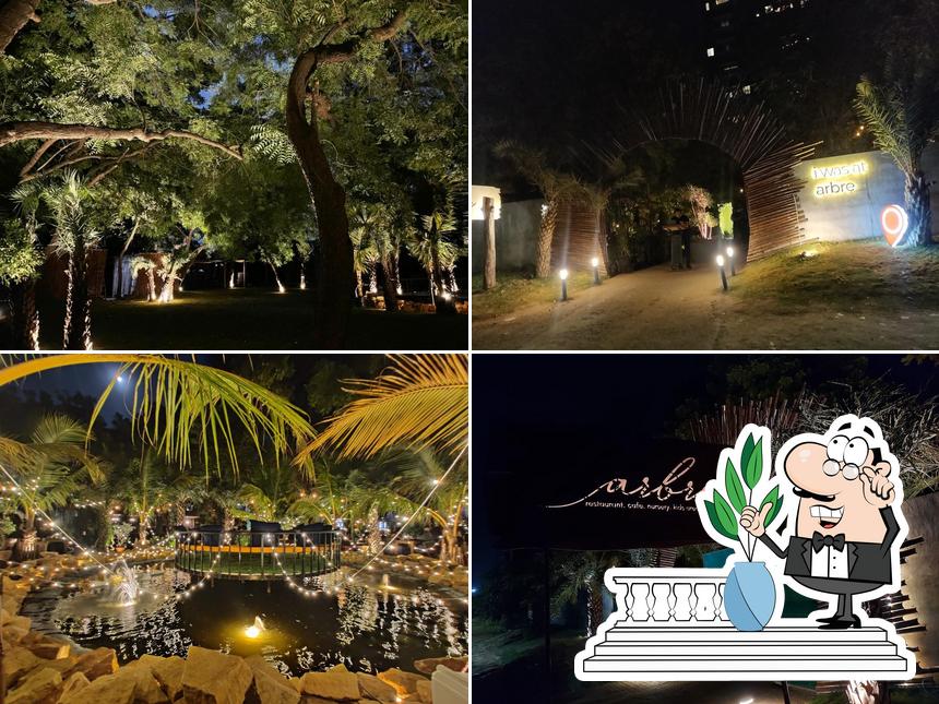 Enjoy the view outside Arbre