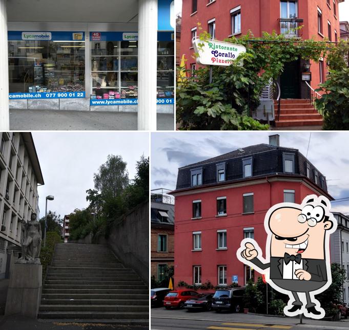 Guarda gli esterni di Corallo