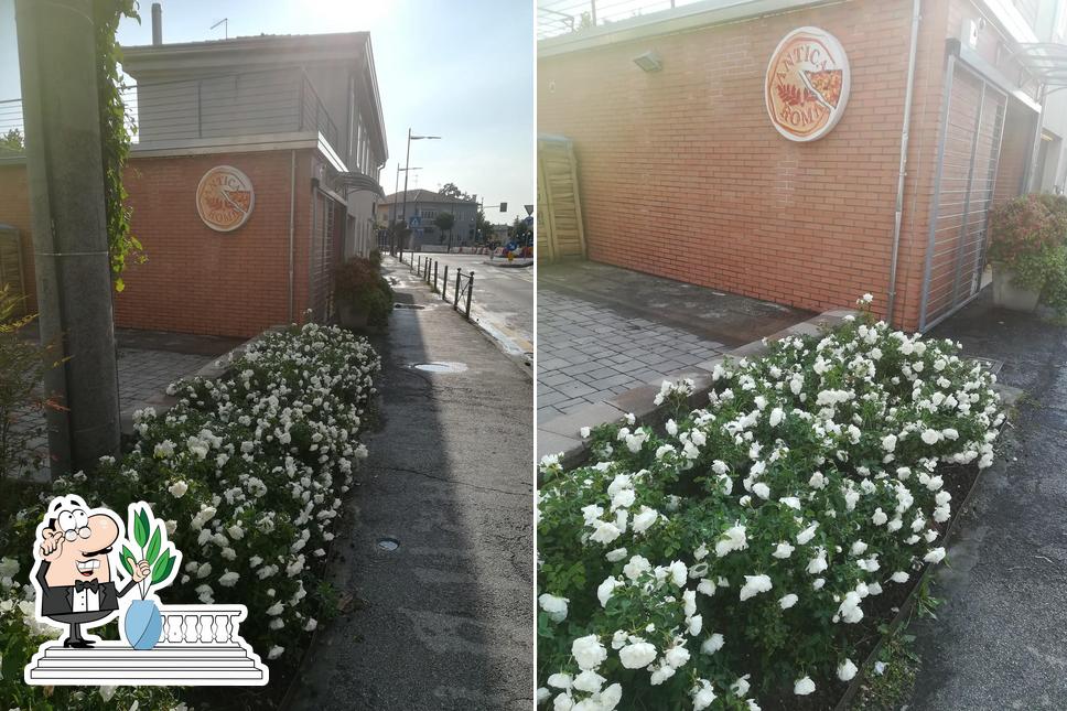 Gli esterni di Pizzeria Antica Roma