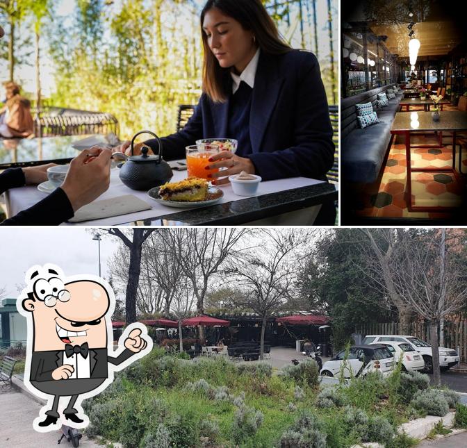 Puoi goderti l'aria fresca da seduto all'esterno di Ristorante Caffè Parnaso