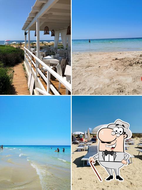 Goditi la vista dall'area esterna di Lido ELITE