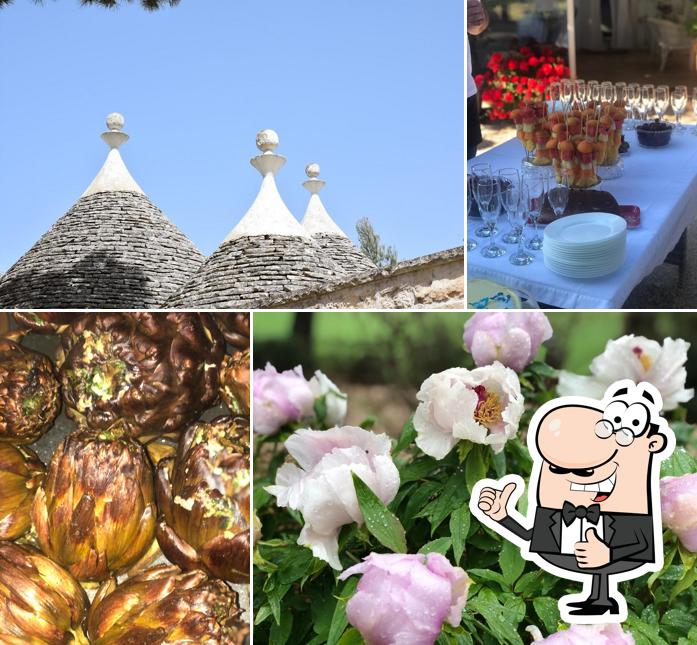 Ecco una foto di Azienda agricola Masseria Battaglini