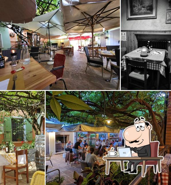 Gli interni di Trattoria la Colomba