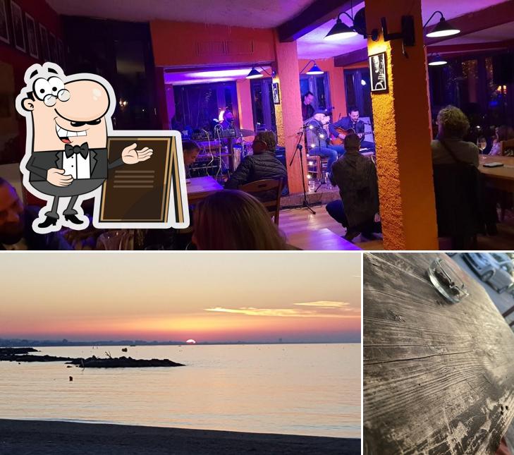 Tra le varie cose da Osteria della Vigna si possono trovare la esterno e bancone da bar