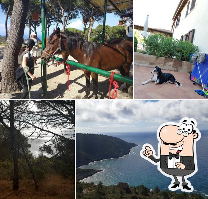 Ristorante Villa delle Ripalte