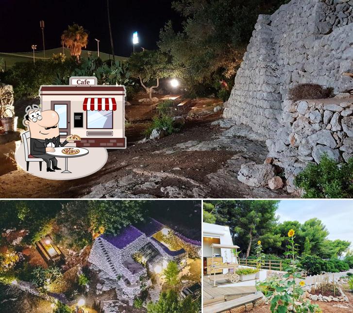 Guarda gli esterni di Boccaccio 'la poesia in un barattolo'