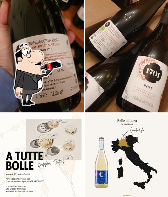 C.T.G. Trambusti Gigliola Snc