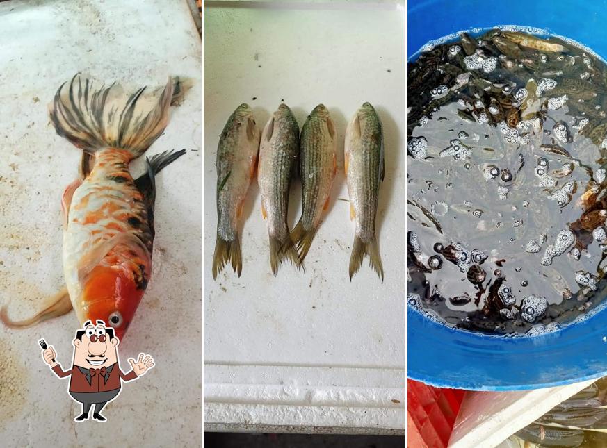 Food at Rajesh Shah, Umesh Shah Fish Shop Muzaffarpur Wale