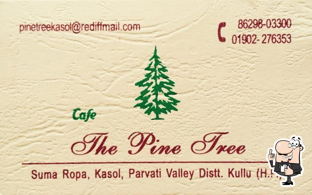 Here's a photo of The Pine Tree