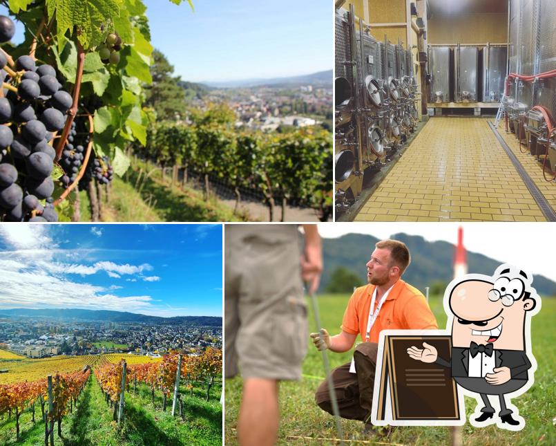 Gli esterni di Steimer Weinbau