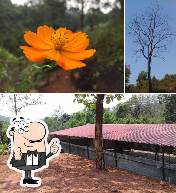 Look at this photo of Padi farm