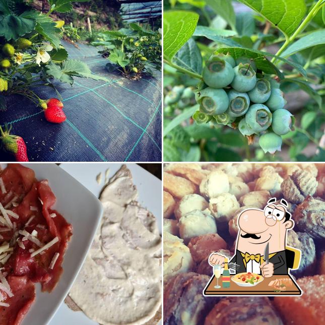 Platti al Pinareul Arios