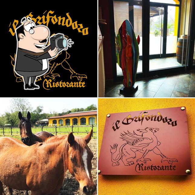 Foto di Il Grifondoro