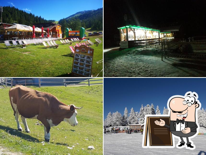 Guarda gli esterni di Brunarica Kekec