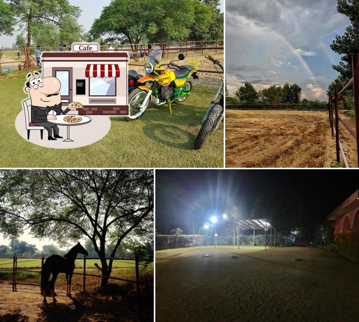 Check out how THE HSC The Horse Shoe Cafe looks outside