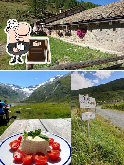 Goditi la vista dall'area esterna di Alp Da Segl