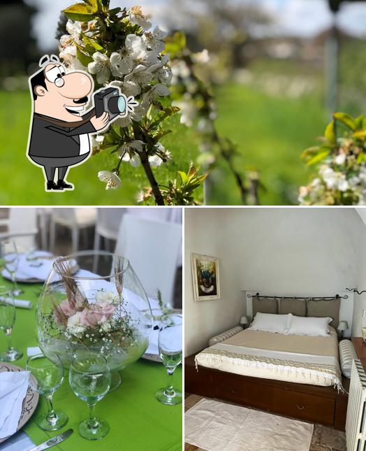 Vedi questa foto di Azienda agricola Masseria Battaglini