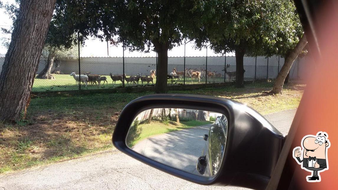 Vedi la foto di Di Berardino Mario