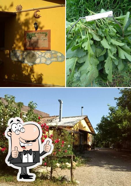 Vedi la foto di Agriturismo All'ombra del Gelso