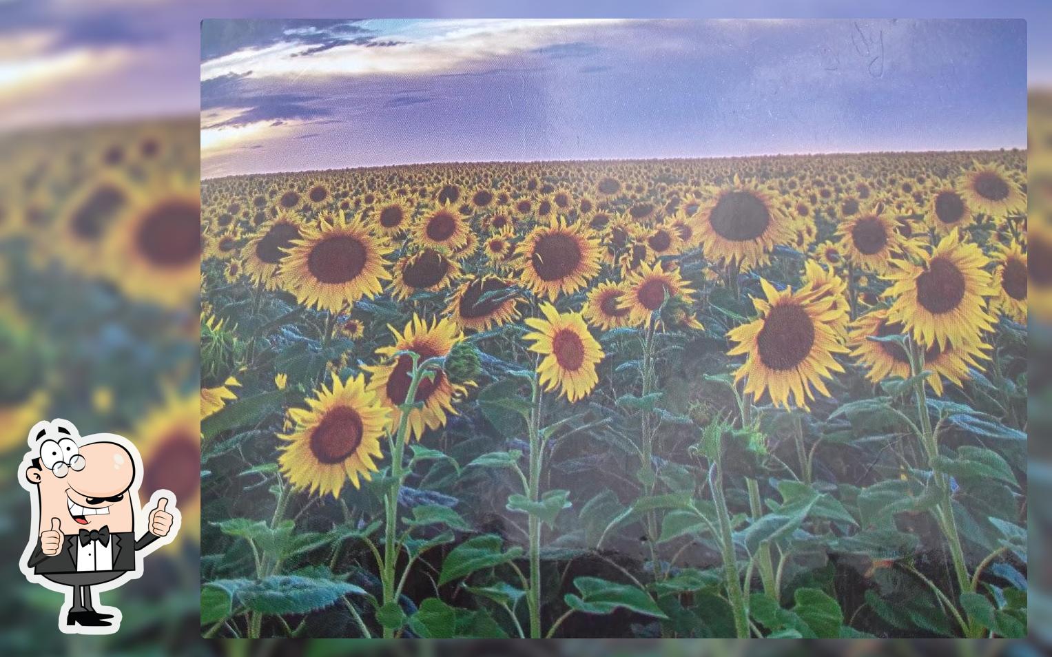 Rathore ji fast food corner