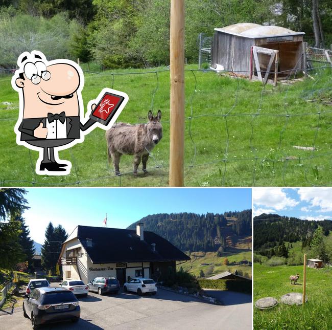 Gli esterni di Restaurant Mösli