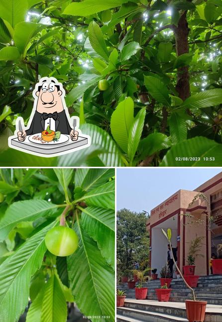 Food at Roshnabaad Dm Kathcheri