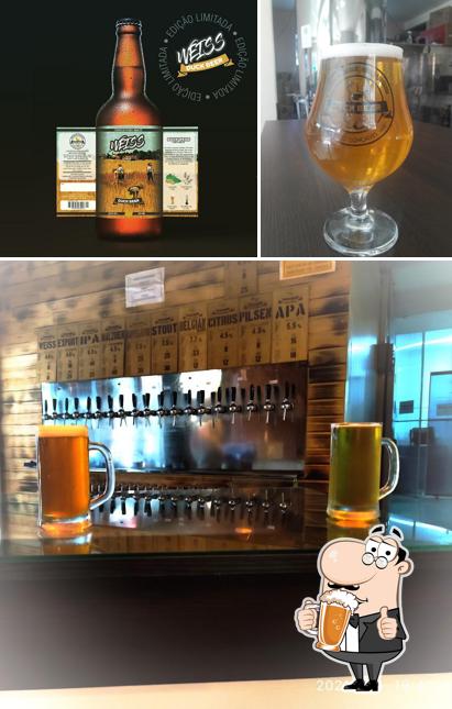 Duck Beer Cervejaria