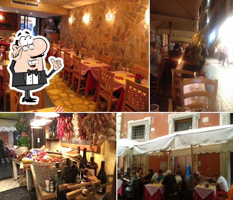 Découvrez l'intérieur de Rosa Rosae