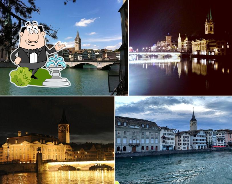 Guarda gli esterni di Zunfthaus zur Meisen