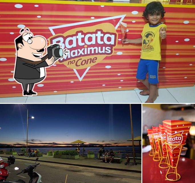 batata Maximus no cone image