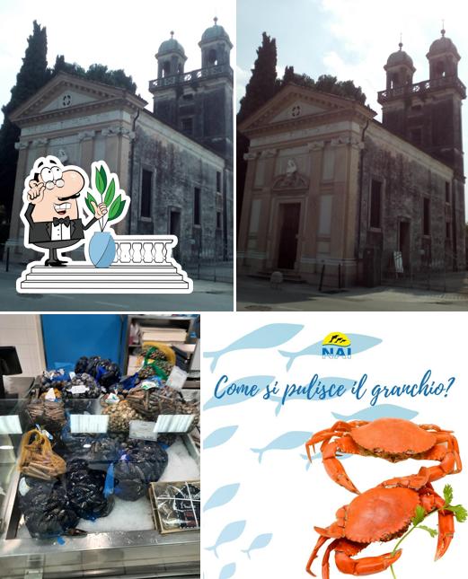 Pescheria Nai - Cittadella