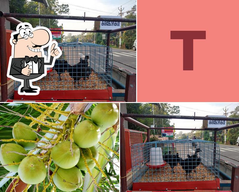 See the pic of Tender Coconut Shop