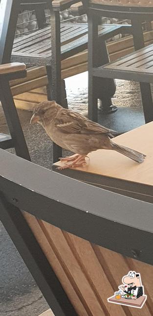 Cibo al Restaurant du Grand-Pont